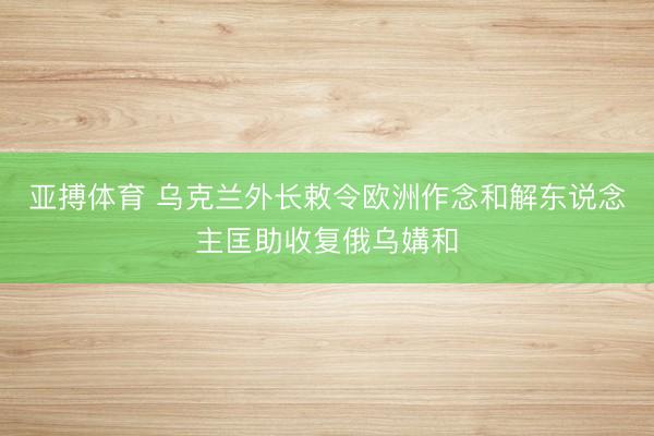 亚搏体育 乌克兰外长敕令欧洲作念和解东说念主匡助收复俄乌媾和