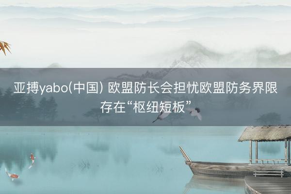亚搏yabo(中国) 欧盟防长会担忧欧盟防务界限存在“枢纽短板”