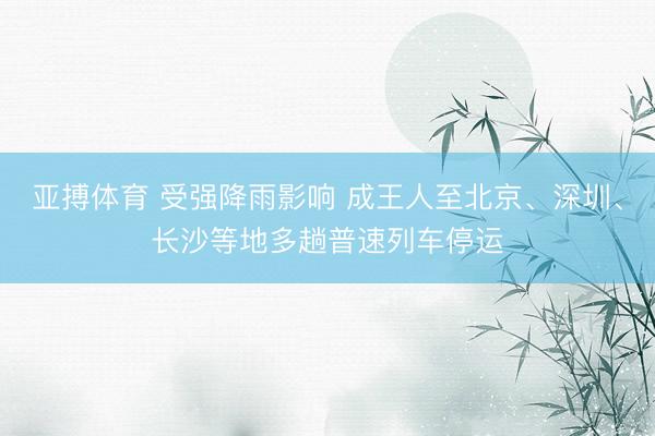 亚搏体育 受强降雨影响 成王人至北京、深圳、长沙等地多趟普速列车停运