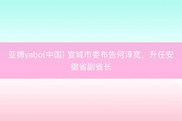 亚搏yabo(中国) 宣城市委布告何淳宽，升任安徽省副省长