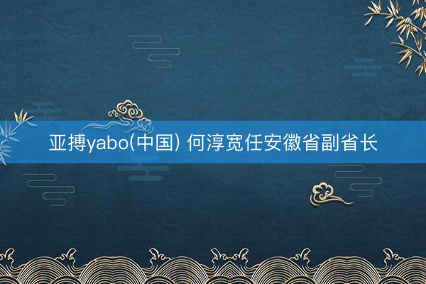 亚搏yabo(中国) 何淳宽任安徽省副省长