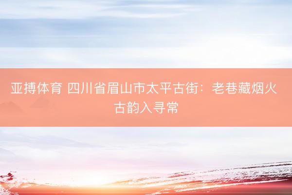 亚搏体育 四川省眉山市太平古街：老巷藏烟火 古韵入寻常