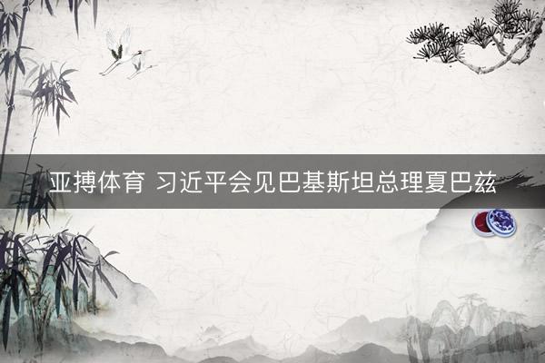 亚搏体育 习近平会见巴基斯坦总理夏巴兹