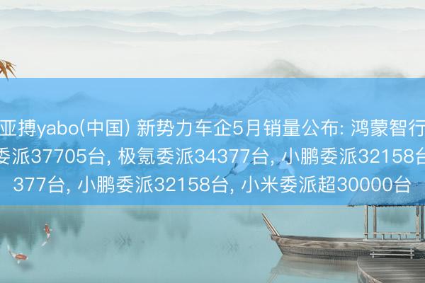 亚搏yabo(中国) 新势力车企5月销量公布: 鸿蒙智行委派46122台， 蔚来委派37705台， 极氪委派34377台， 小鹏委派32158台， 小米委派超30000台