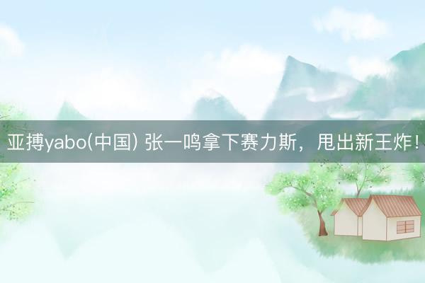 亚搏yabo(中国) 张一鸣拿下赛力斯，甩出新王炸！
