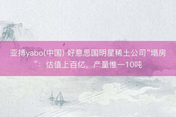亚搏yabo(中国) 好意思国明星稀土公司“塌房”：估值上百亿，产量惟一10吨