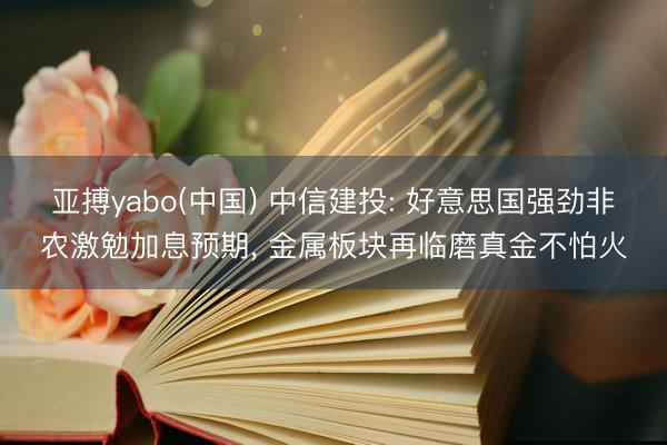 亚搏yabo(中国) 中信建投: 好意思国强劲非