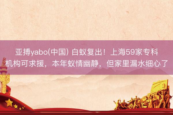 亚搏yabo(中国) 白蚁复出！上海59家专科机构可求援，本年蚁情幽静，但家里漏水细心了