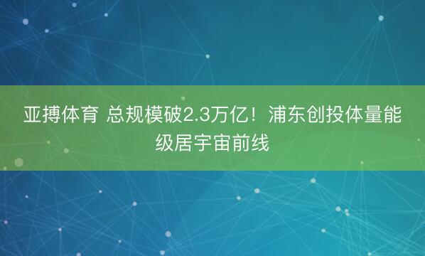 亚搏体育 总规模破2.3万亿！浦东创投体量能级居宇宙前线