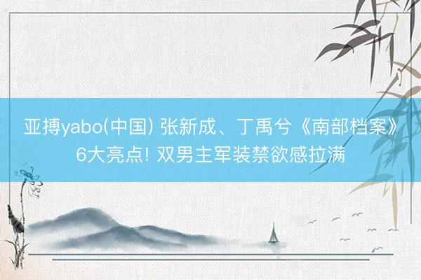 亚搏yabo(中国) 张新成、丁禹兮《南部档案》6大亮点! 双男主军装禁欲感拉满