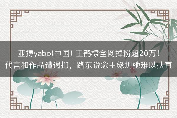 亚搏yabo(中国) 王鹤棣全网掉粉超20万!代言和作品遭遏抑,路东说念主缘坍弛难以扶直