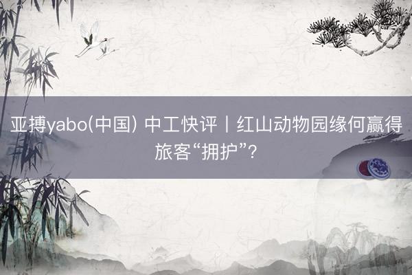 亚搏yabo(中国) 中工快评丨红山动物园缘何赢得旅客“拥护”?