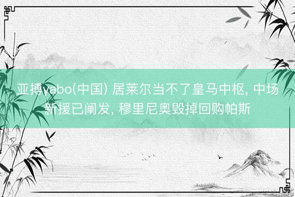 亚搏yabo(中国) 居莱尔当不了皇马中枢, 中场新援已阐发, 穆里尼奥毁掉回购帕斯