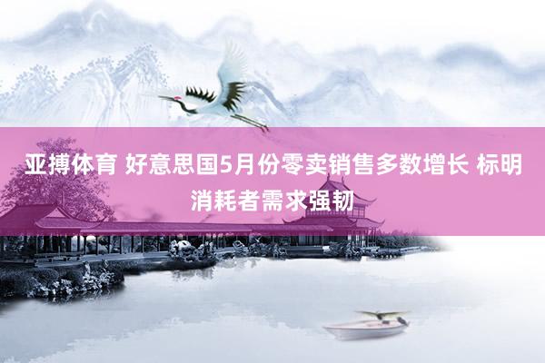 亚搏体育 好意思国5月份零卖销售多数增长 标明消耗者需求强韧